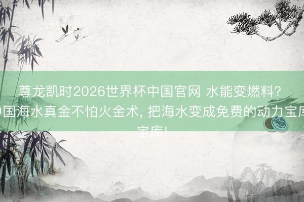 尊龙凯时2026世界杯中国官网 水能变燃料? 中国海水真金不怕火金术， 把海水变成免费的动力宝库!