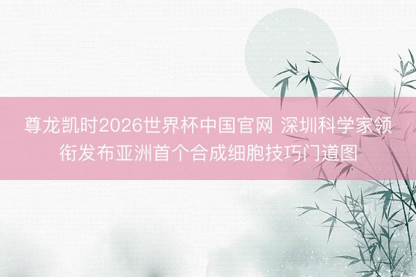 尊龙凯时2026世界杯中国官网 深圳科学家领衔发布亚洲首个合成细胞技巧门道图