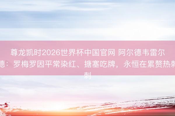 尊龙凯时2026世界杯中国官网 阿尔德韦雷尔德:罗梅罗因平常染红、搪塞吃牌,永恒在累赘热刺