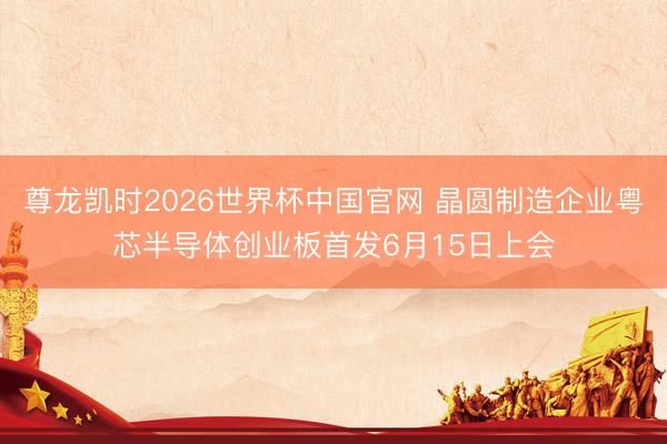 尊龙凯时2026世界杯中国官网 晶圆制造企业粤芯半导体创业板首发6月15日上会