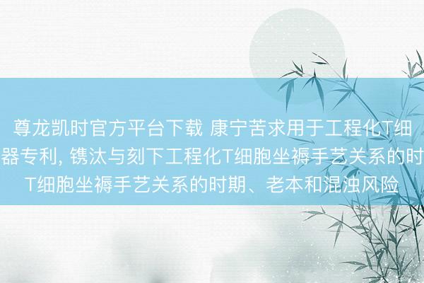 尊龙凯时官方平台下载 康宁苦求用于工程化T细胞坐褥的填充床反映器专利， 镌汰与刻下工程化T细胞坐褥手艺关系的时期、老本和混浊风险