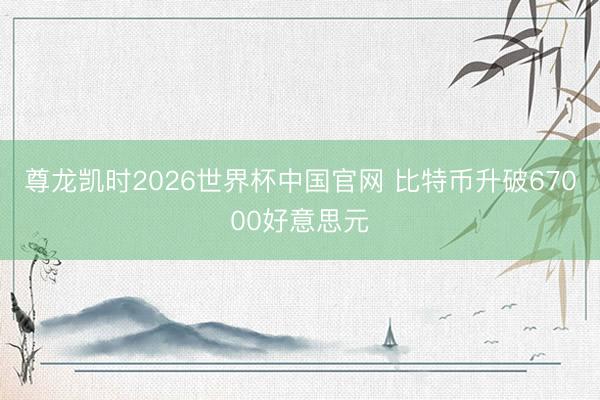 尊龙凯时2026世界杯中国官网 比特币升破67000好意思元