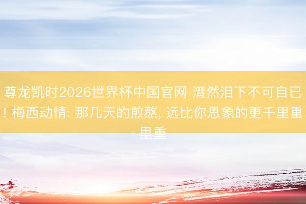 尊龙凯时2026世界杯中国官网 潸然泪下不可自已! 梅西动情: 那几天的煎熬， 远比你思象的更千里重